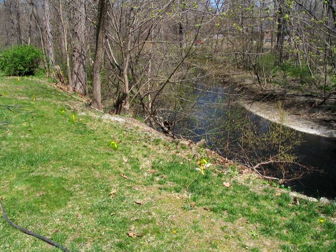 Planting-CreekBend_04_21_06-0082.jpg 97.8K
