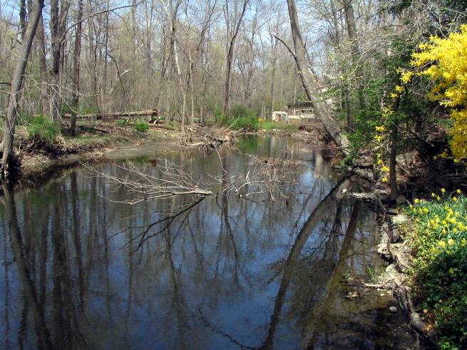 Planting-CreekBend_04_21_06-0089.jpg 77.7K