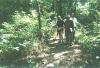 Ramble_09_26_04-003.jpg 79.1K