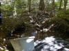 FC01_Imp-C_06_23_04-005.jpg 62.1K