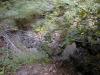 FC01_Imp-C_06_23_04-013.jpg 62.2K