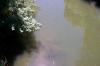 FC01_Imp-E_06_12_04-001.jpg 63.1K