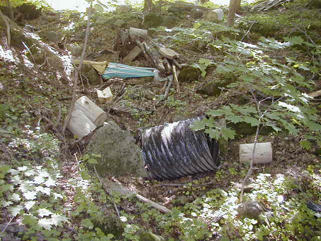 FC01_Imp-C_06_23_04-004.jpg 60.9K