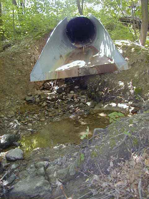FC01_Imp-C_06_23_04-006.jpg 71.3K