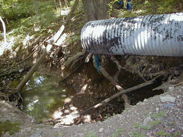 FC01_Imp-C_06_23_04-008.jpg 62.6K