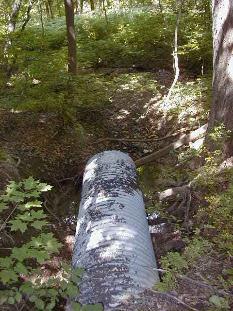 FC01_Imp-C_06_23_04-010.jpg 76.2K