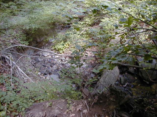 FC01_Imp-C_06_23_04-013.jpg 62.2K