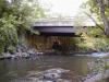 FC02_06_27_04-002.jpg 61.7K