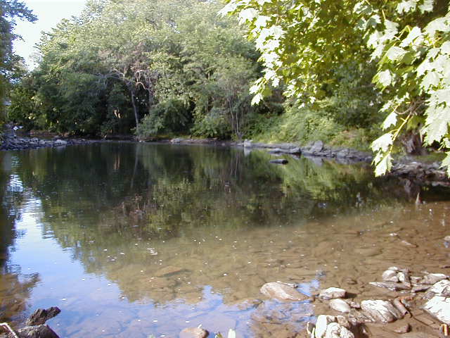 FC02_06_27_04-009.jpg 62.1K