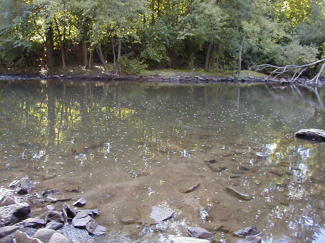 FC02_06_27_04-012.jpg 61.9K