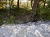 FC03_Imp-C_07_11_04-003.JPG 62.7K