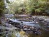 FC03_07_02_04-008.JPG 62.9K