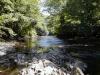 FC03_07_11_04-010.JPG 60.2K
