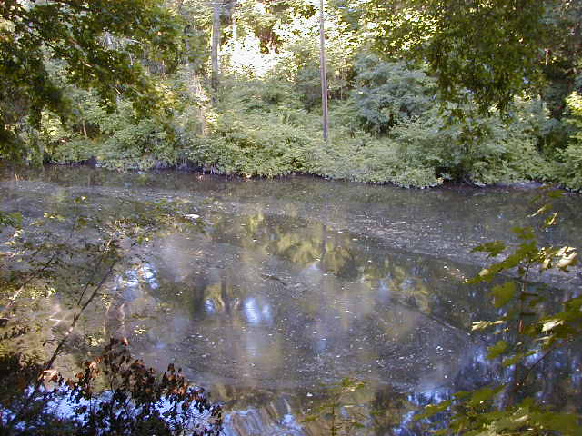 FC03_07_02_04-003.JPG 61.8K