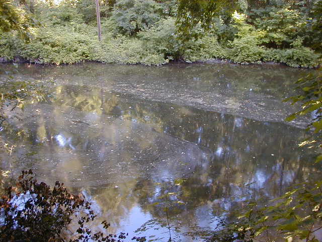 FC03_07_02_04-004.JPG 62.3K