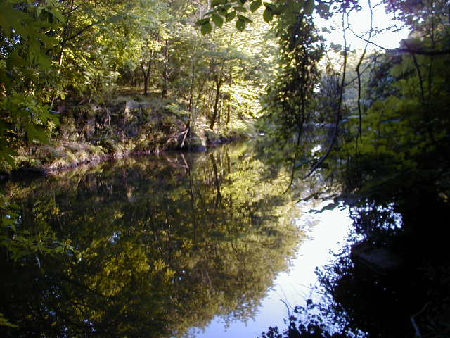 FC03_07_02_04-005.JPG 62.8K
