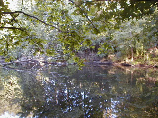 FC03_07_02_04-006.JPG 62.7K