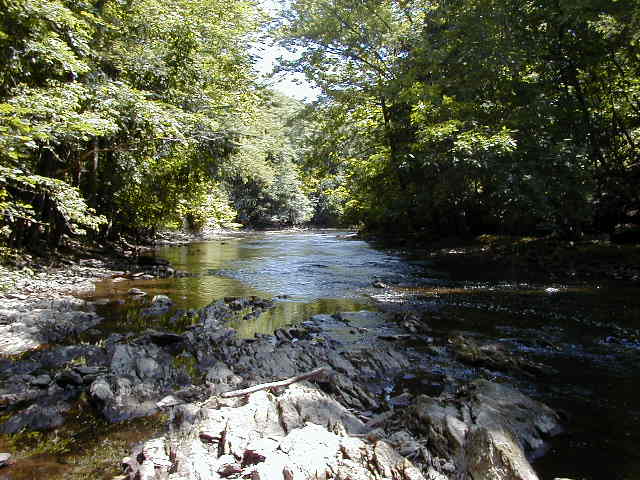 FC03_07_11_04-010.JPG 60.2K