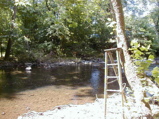 FC03_07_11_04-012.JPG 61.1K
