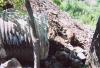 FC04_07_11_04-002.jpg 74.4K