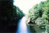 FC04_07_11_04-005.jpg 57.6K