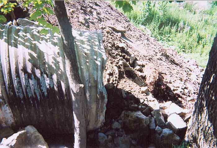 FC04_07_11_04-002.jpg 74.4K