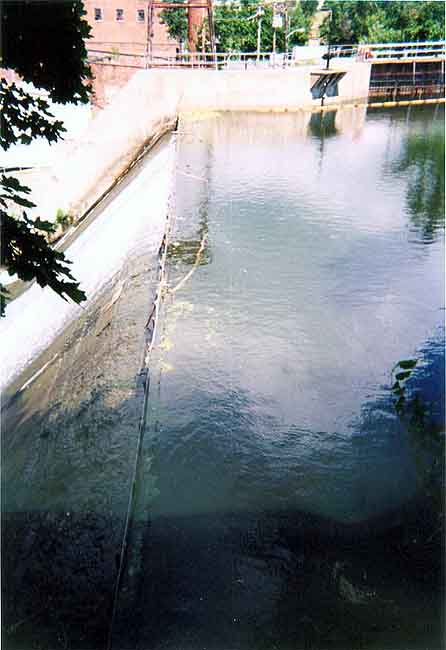FC04_07_11_04-003.jpg 40.3K