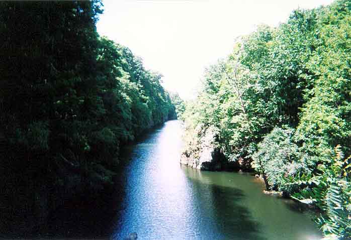 FC04_07_11_04-005.jpg 57.6K