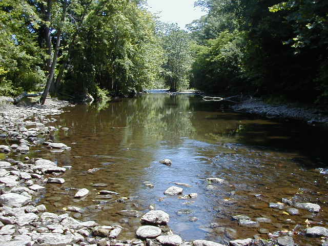 FC04_07_11_04-015.JPG 62.2K