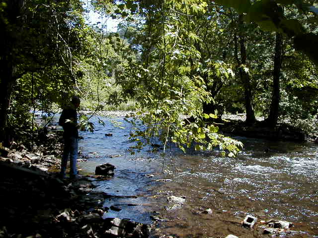 FC04_07_11_04-016.JPG 59.9K