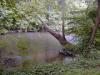 FC05_07_18_04-003.JPG 62.8K