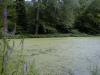 FC05_07_18_04-005.JPG 59.4K