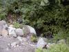FC05_07_18_04-008.JPG 61.8K