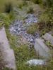 FC05_07_18_04-012.jpg 45.8K