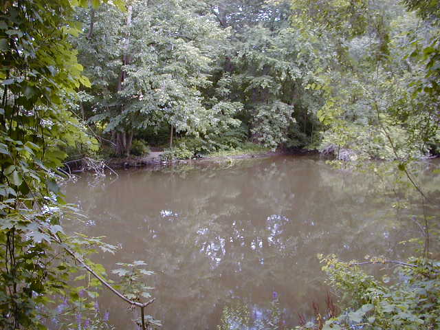 FC05_07_18_04-002.JPG 62.8K