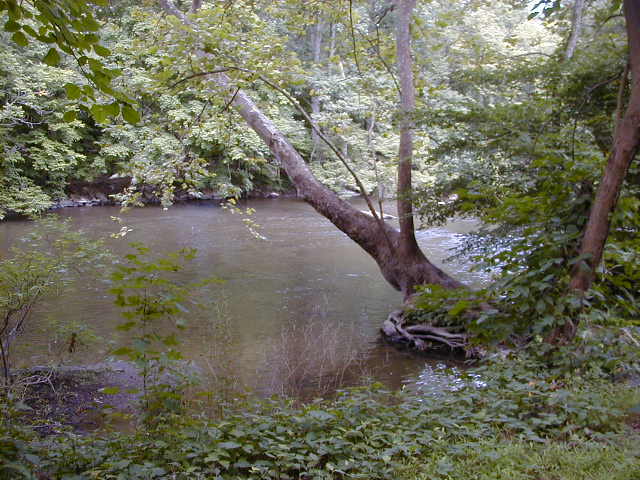 FC05_07_18_04-003.JPG 62.8K