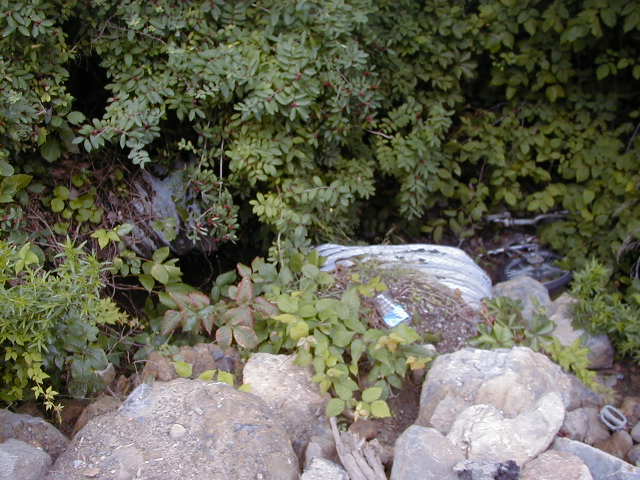 FC05_07_18_04-007.JPG 61.0K