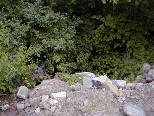 FC05_07_18_04-009.JPG 62.9K