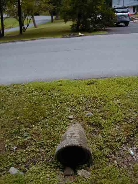 FC05_07_18_04-010.jpg 60.3K