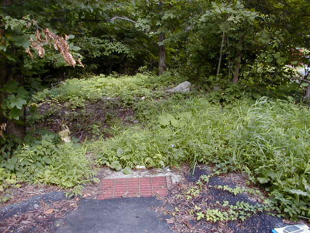 FC05_07_18_04-014.JPG 61.9K