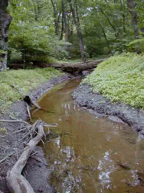 FC06_07_18_04-003.jpg 55.8K