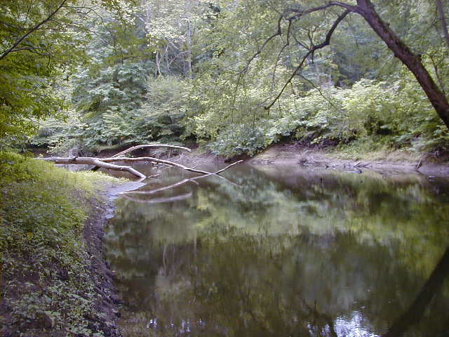 FC06_07_18_04-004.JPG 62.9K