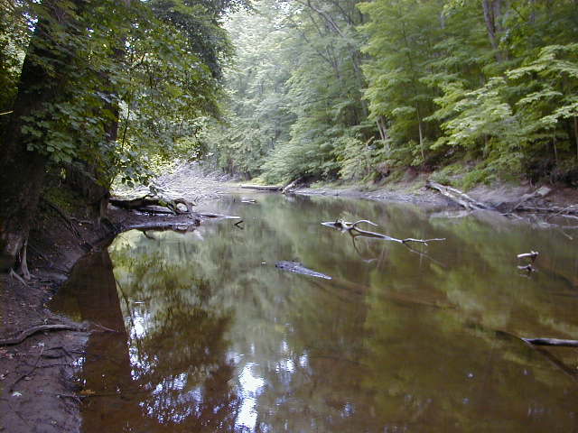 FC06_07_18_04-005.JPG 61.7K