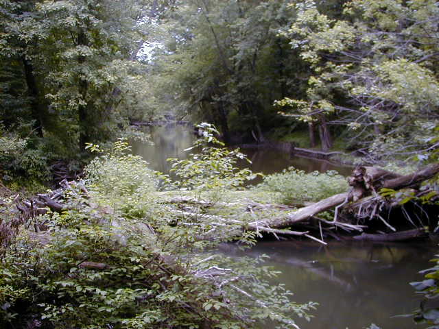 FC06_07_18_04-006.JPG 62.7K