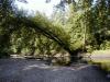 FC07-1_Imp-A_06_30_04-002.JPG 60.2K