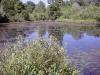 FC07-1_06_12_04-015.jpg 102.4K