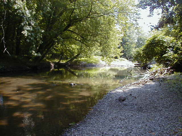 FC07-2_06_30_04-003.JPG 62.2K
