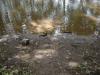 FC09-1_Imp-C_07_21_04-004.JPG 61.6K