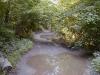 FC09-1_07_21_04-008.JPG 61.7K