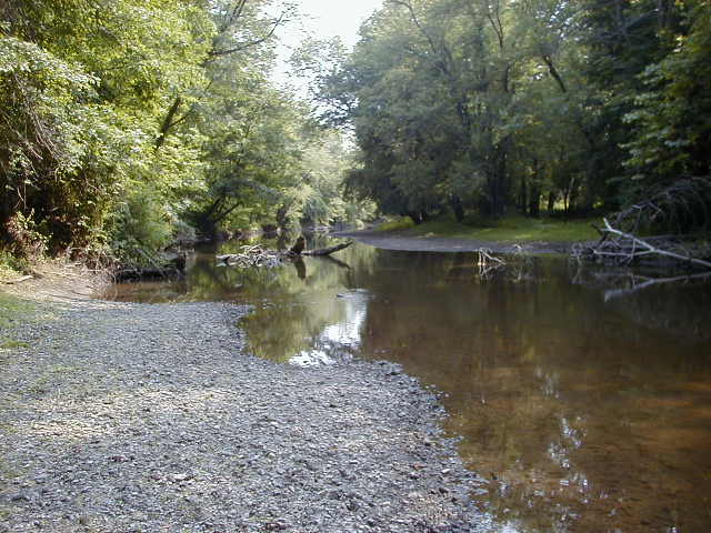 FC09-1_07_21_04-002.JPG 62.7K